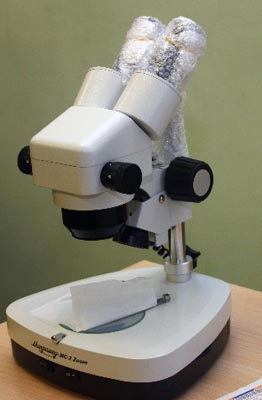 Бинокулярный микроскоп01