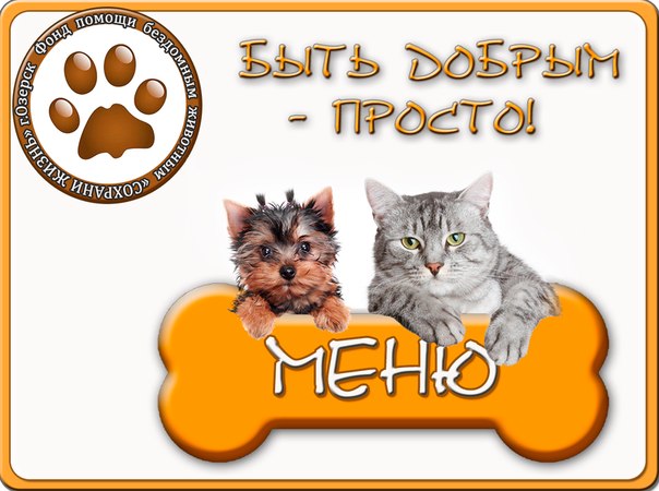 ftSieOtNHxA