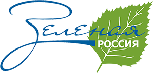 logo_300x143
